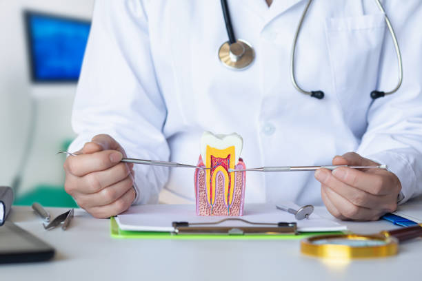 Best Emergency Root Canal Treatment in Belfast, ME